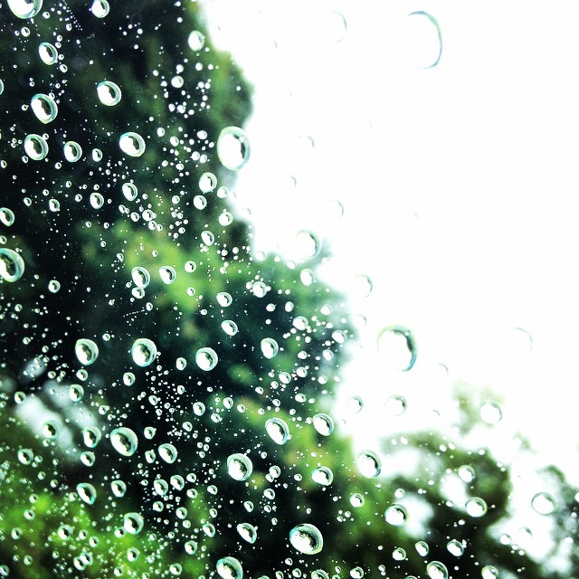 「雨 フリー素材」の画像検索結果