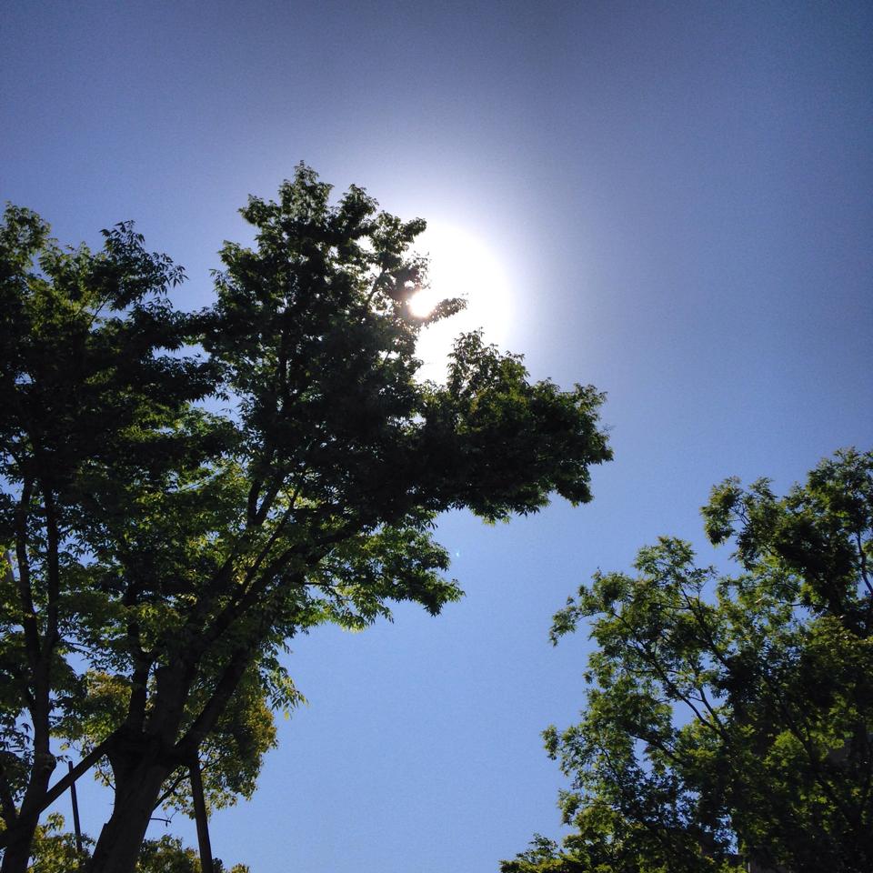 フリー素材 画像 連休明けの通勤初日 眩しい太陽の日差しから青々とした木の葉達がまもってくれた 無料 株式会社カムラック 障害者就労継続支援a型 B型 就労移行支援 相談支援